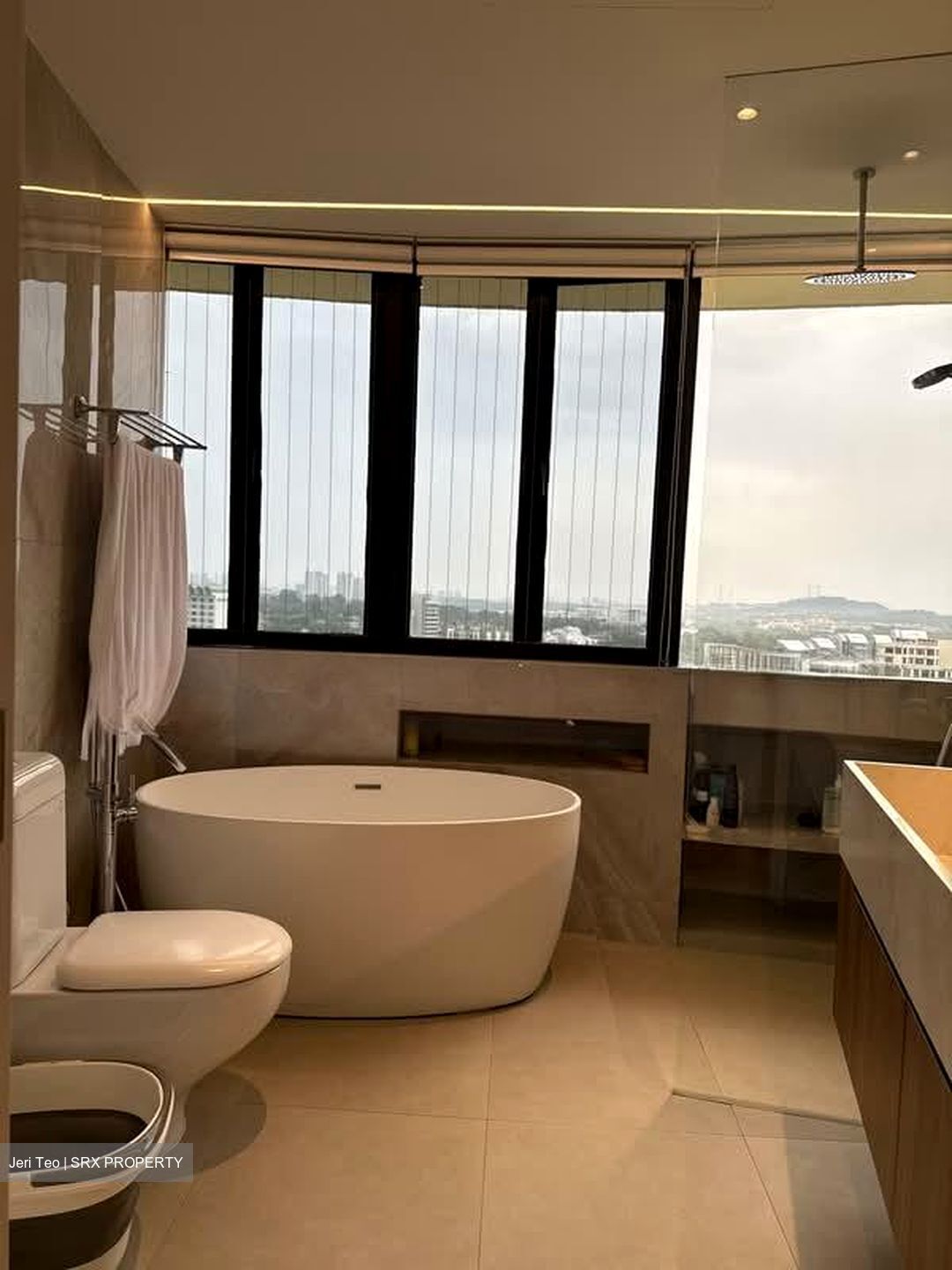 The Draycott (D10), Apartment #570574271